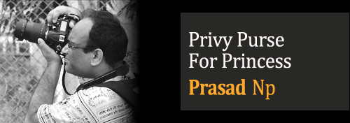Privy Purse For Princess