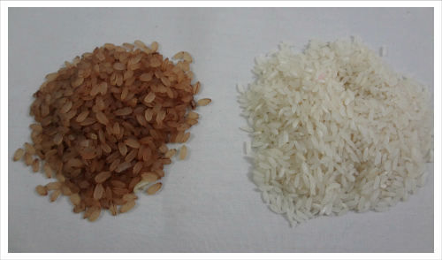 Brown Rice