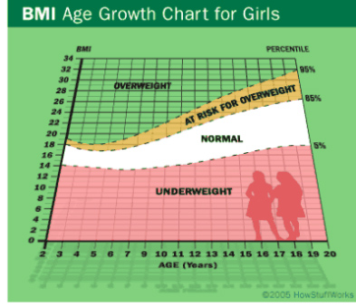 14 Year Old Weight Chart