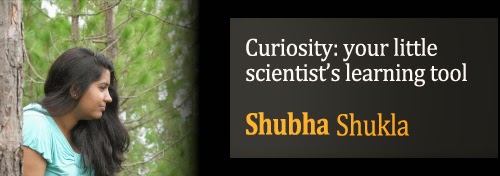 Curiosity: Your Little Scientist Tool