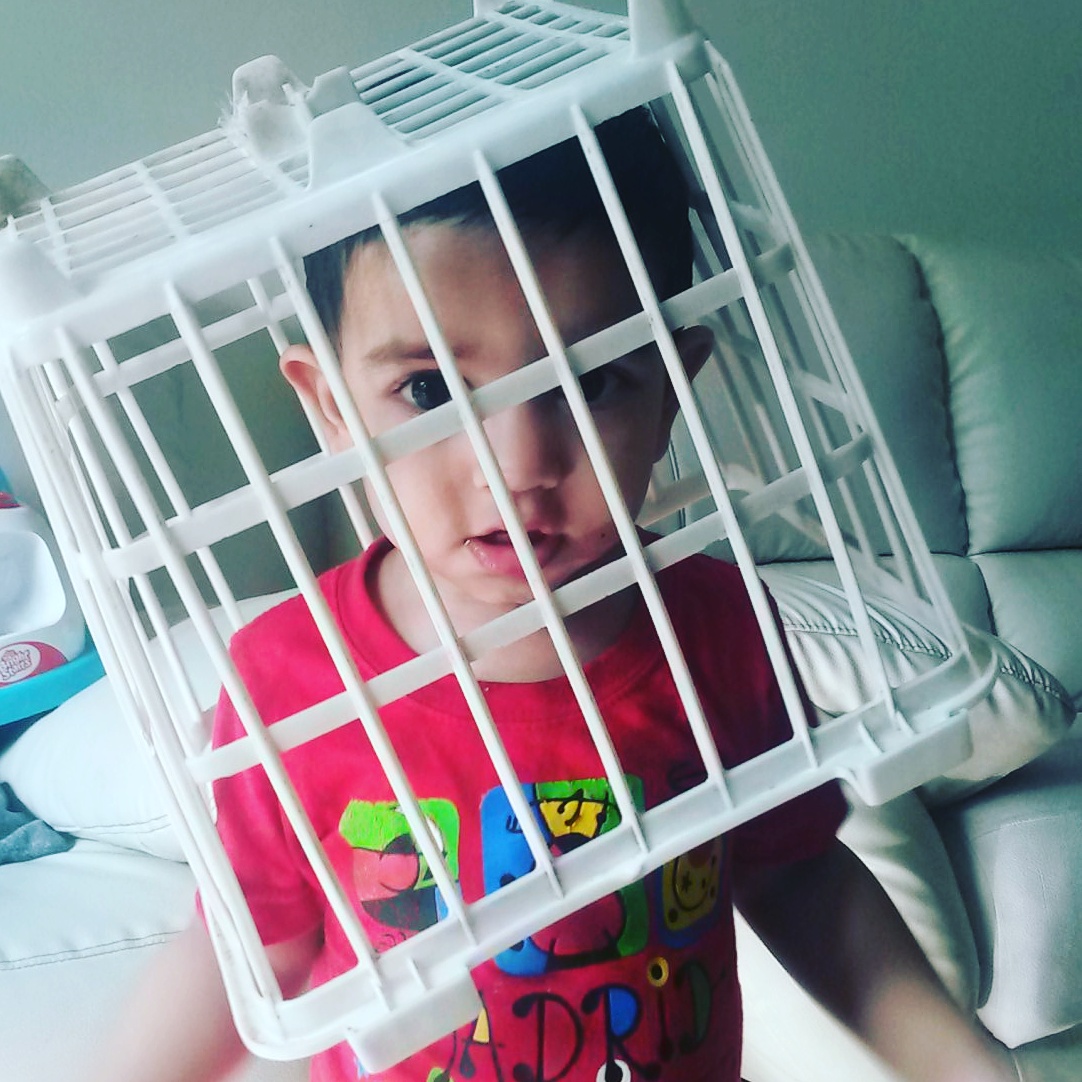 learning from kids