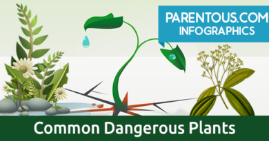 common plants dangerous for kids