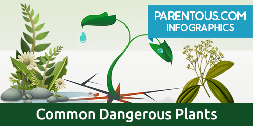 common plants dangerous for kids